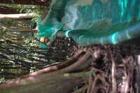  2007-12-10 15.00.00.JPG 